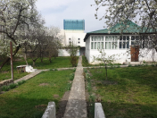 Satılır 12.5 sot torpaq Qəbələ