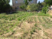 Satılır 4 sot torpaq Binə