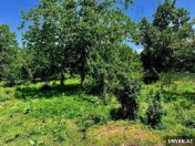 Satılır 7 sot torpaq Qəbələ