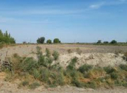 Satılır 6 sot torpaq Şıxov