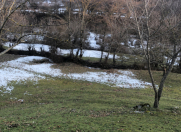 Satılır 100 sot torpaq Qəbələ