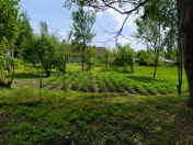 Satılır 10 sot torpaq İsmayıllı