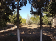 Satılır 14 sot torpaq Mərdəkan