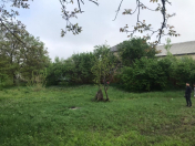 Satılır 11 sot torpaq Qəbələ