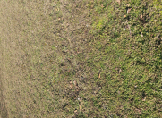 Satılır 3 sot torpaq Ramana