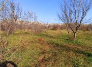 Satılır 30 sot torpaq Göyçay