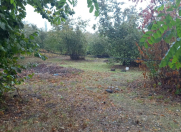 Satılır 15 sot torpaq Oğuz