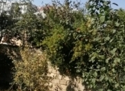 Satılır 6 sot torpaq Yeni Yasamal