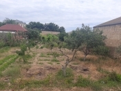 Satılır 6 sot torpaq Novxanı