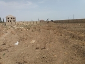Satılır 6 sot torpaq Ələt