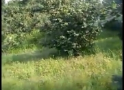 Satılır 113 sot torpaq Xudat