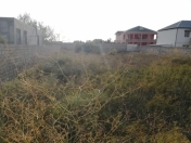 Satılır 10.5 sot torpaq Nardaran