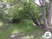 Satılır 3 otaqlı 1 m2 həyət evi Tovuz