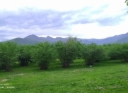 Satılır 35 sot torpaq Qax