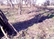 Satılır 18 sot torpaq İsmayıllı