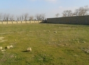 Satılır 25 sot torpaq Xocəsən