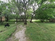 Satılır 8 sot torpaq Quba