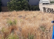 Satılır 6 sot torpaq Bakıxanov