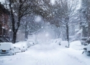 Satılır 15 sot torpaq Qəbələ