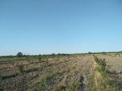 Satılır 450 sot torpaq Xaçmaz