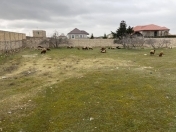 Satılır 24 sot torpaq Bilgəh