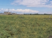 Satılır 5 sot torpaq Ucar