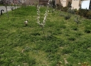 Satılır 2 otaqlı 56 m2 yeni tikili Məhəmmədli