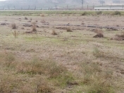 Satılır 250 sot torpaq Xızı