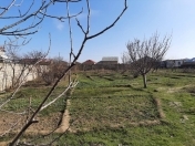 Satılır 24 sot torpaq Saray