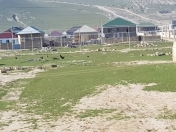 Satılır 8 sot torpaq Xırdalan