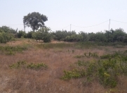 Satılır 17.5 sot torpaq Ambassador otel