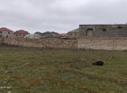 Satılır 8 sot torpaq Savalan