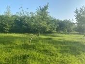 Satılır 20 sot torpaq Qəbələ