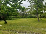 Satılır 12 sot torpaq Quba