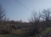 Satılır 18 sot torpaq Qəbələ