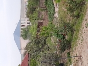 Satılır 6 sot torpaq Novxanı