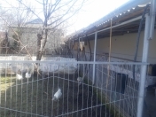 Satılır 5 otaqlı 150 m2 həyət evi Şirvan