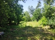 Satılır 7 sot torpaq Qəbələ