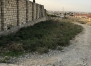 Satılır 10 sot torpaq Hökməli