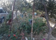 Satılır 2 otaqlı 100 m2 həyət evi Məhəmmədli