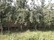 Satılır 10 sot torpaq Mehdiabad