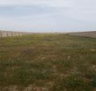 Satılır 6 sot torpaq Balaxanı