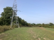 Satılır 20 sot torpaq Qəbələ