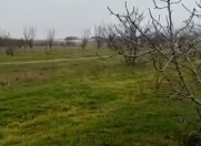 Satılır 20000 sot torpaq Məhəmmədli