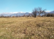 Satılır 30 sot torpaq Qəbələ