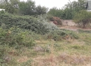 Satılır 12 sot torpaq Qəbələ