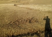 Satılır 8 sot torpaq Qobu