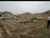 Satılır 4 sot torpaq Binə