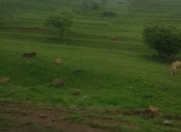 Satılır 12 sot torpaq Qış parkı