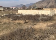 Satılır 6 sot torpaq Xırdalan